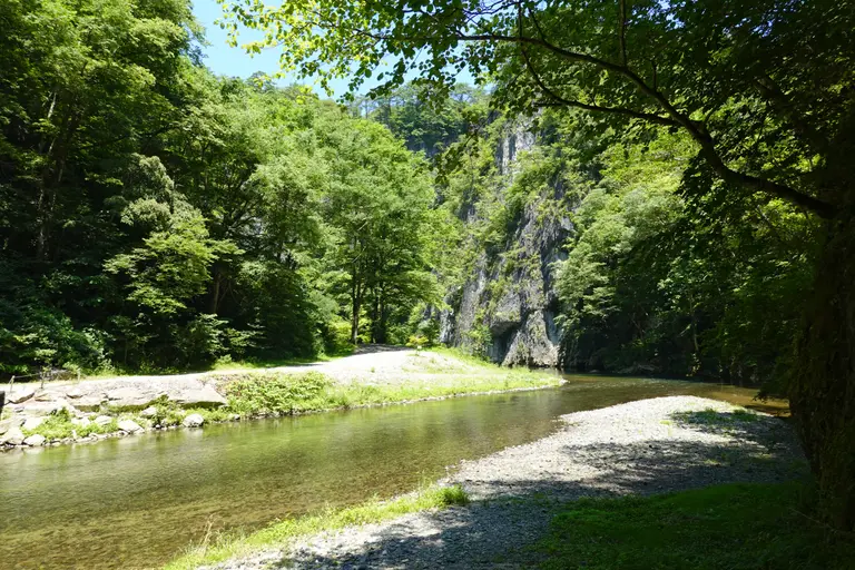 一関市・猊鼻渓の砂鉄川と新緑の岸辺